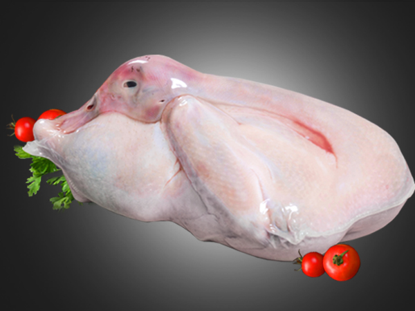 PERMEABLE SHRINK BAG -Poultry